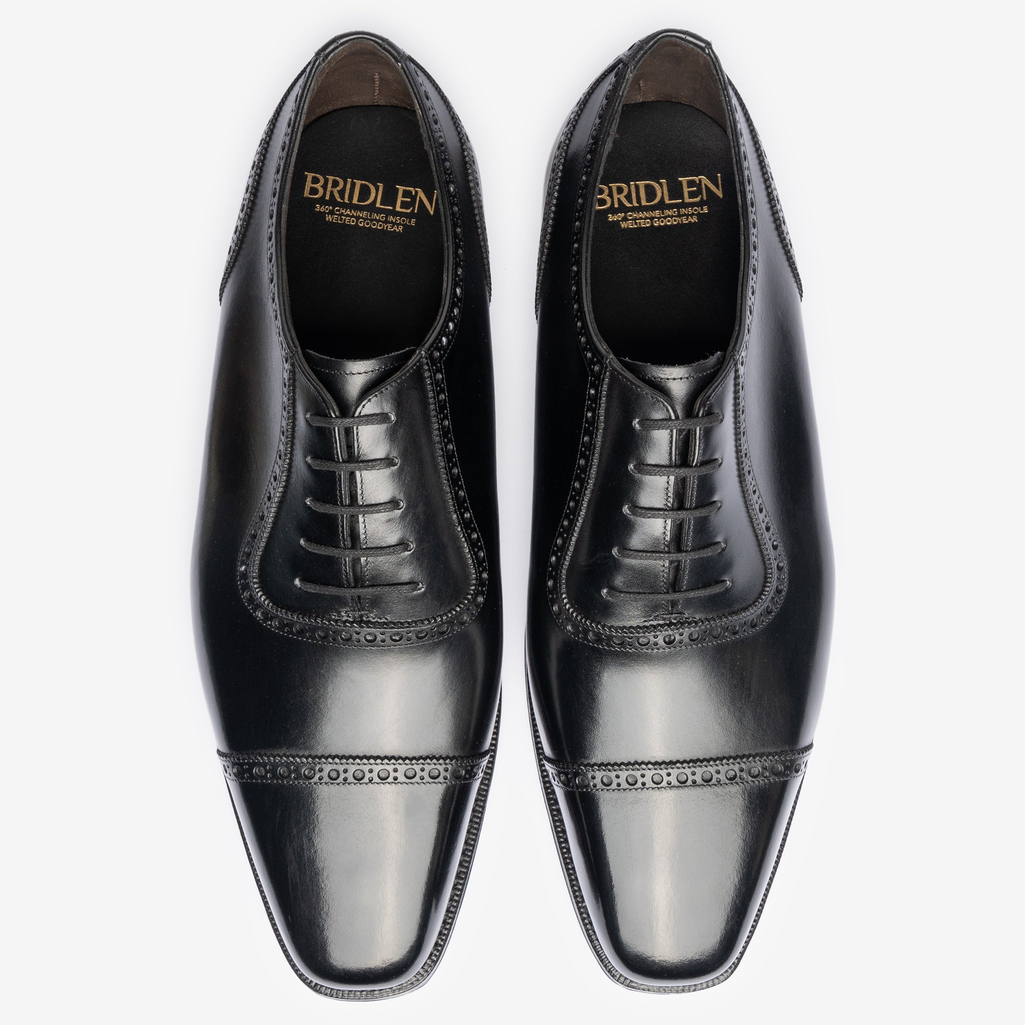 Adelaide Oxford | Black - Deus Last - Founders 25