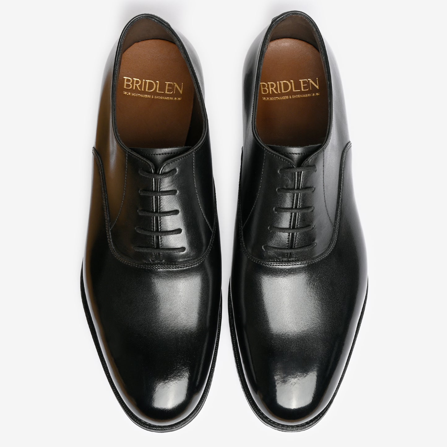 Plain Oxford - Black - Blake Line