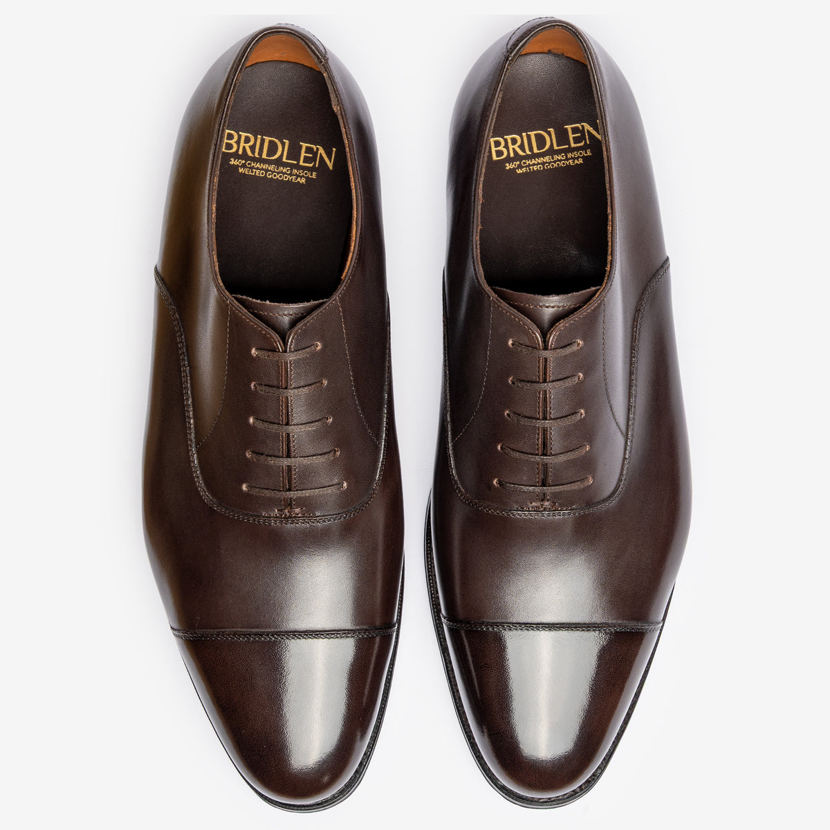 Straight Tip Oxford | Bitter Choco - Zip Last