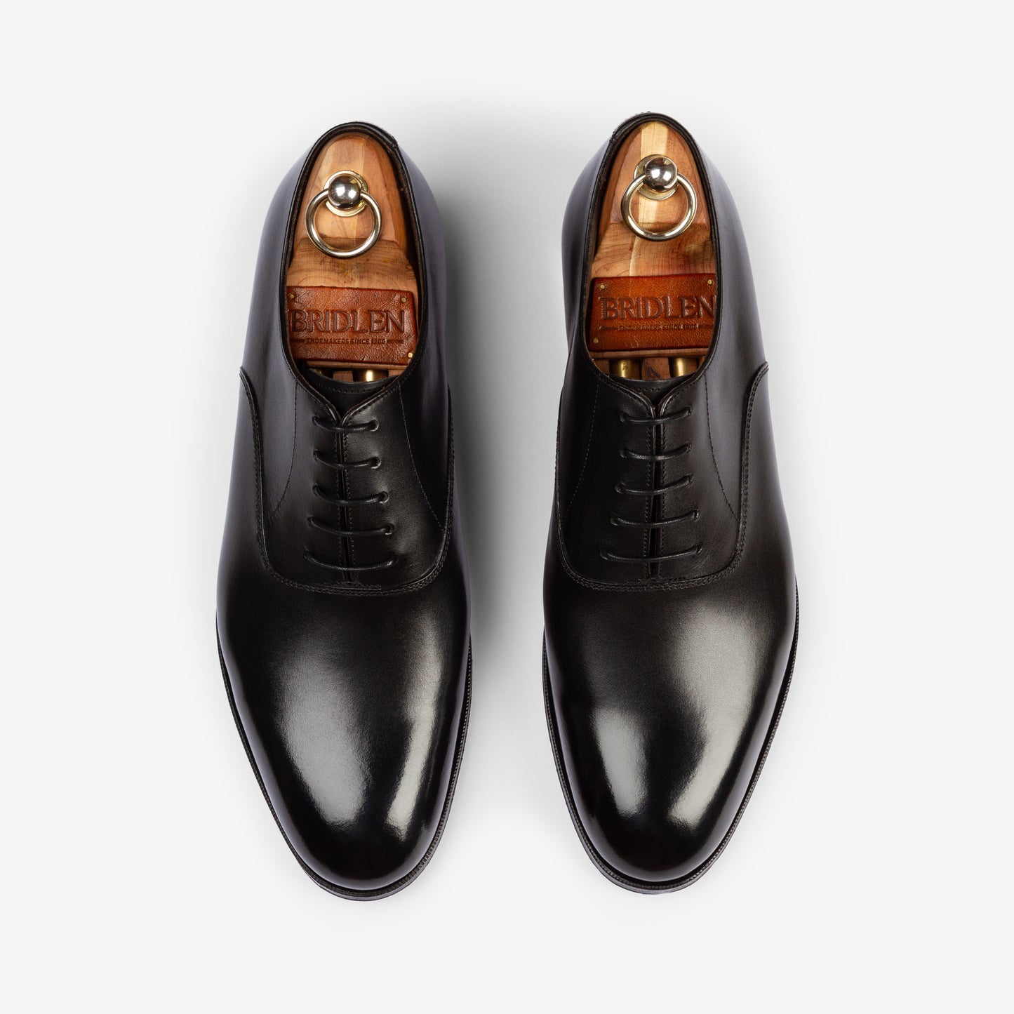 Plain Oxford - Black - Blake Line