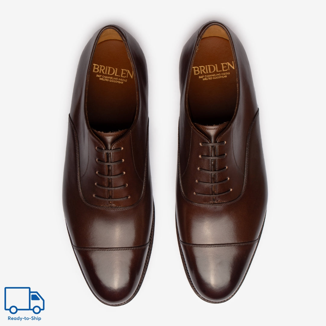 Straight Tip Oxford |  Bitter Choco - Zip Last