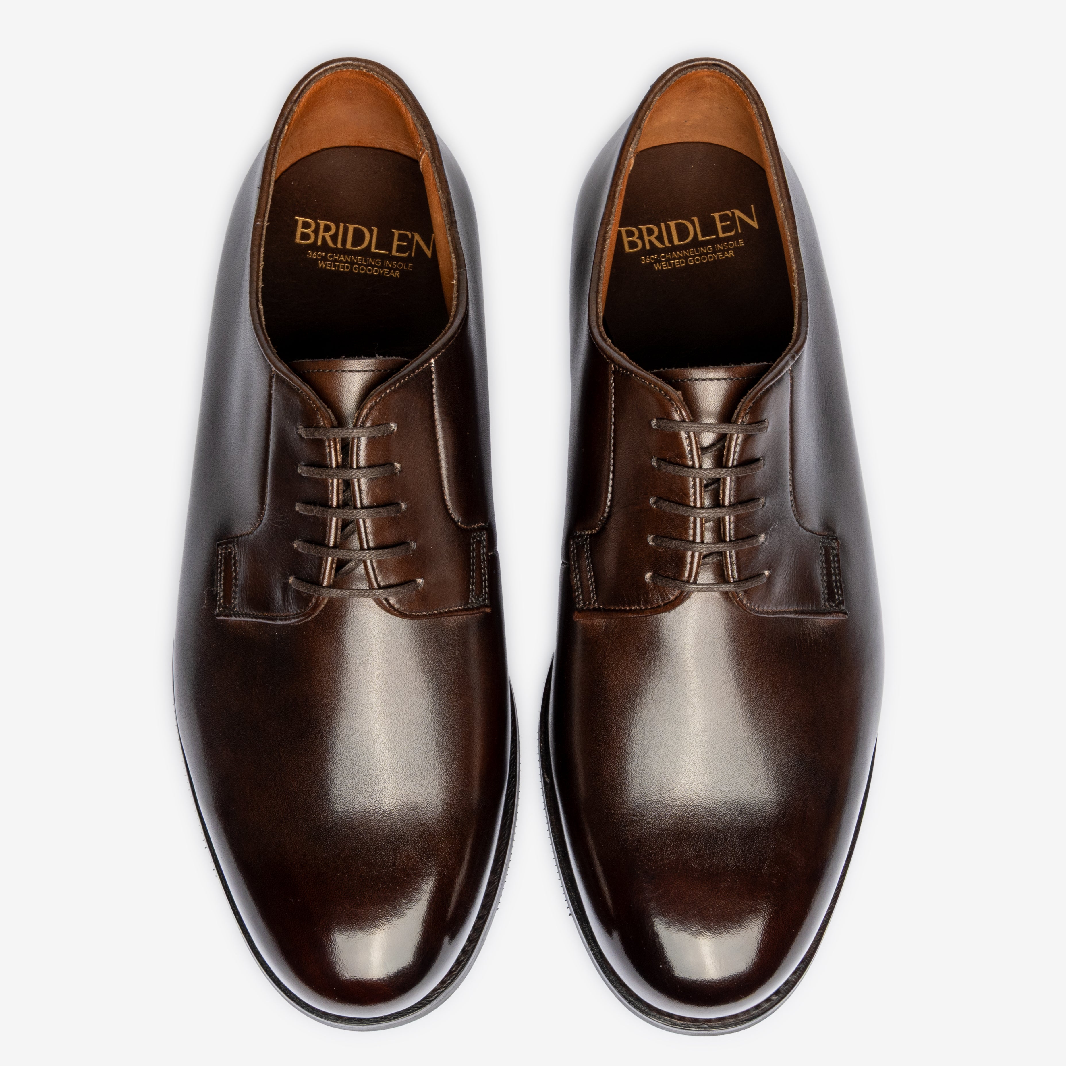Blucher |  Bitter Choco - Mod Last