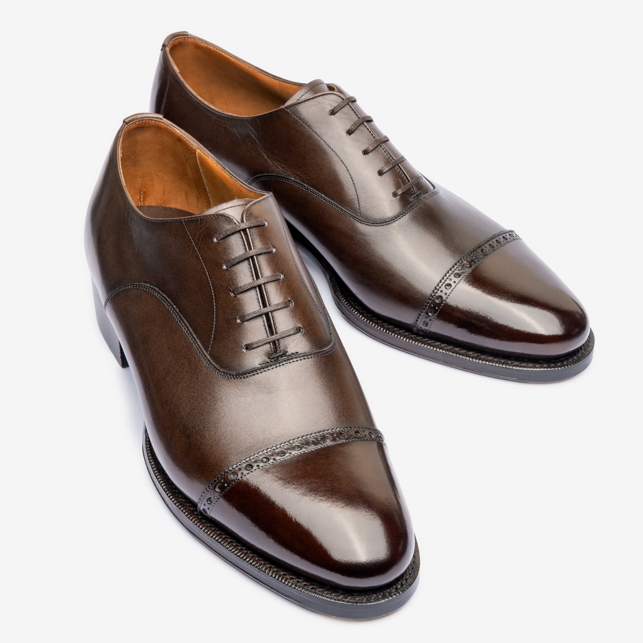 Punch Cap Oxford |  Bitter Choco - Chip Last - Founders 25