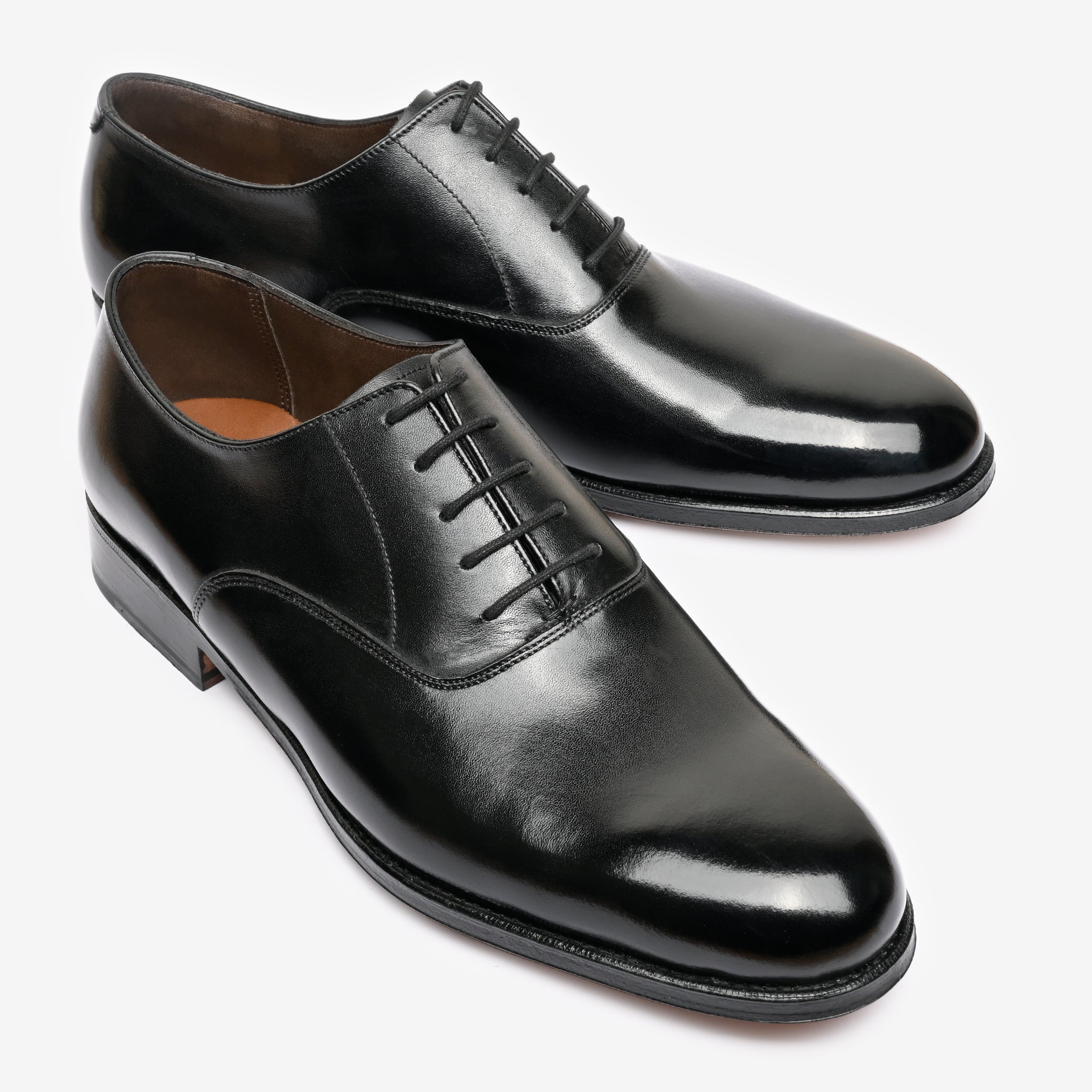 Plain Oxford |  Black - Blake Line