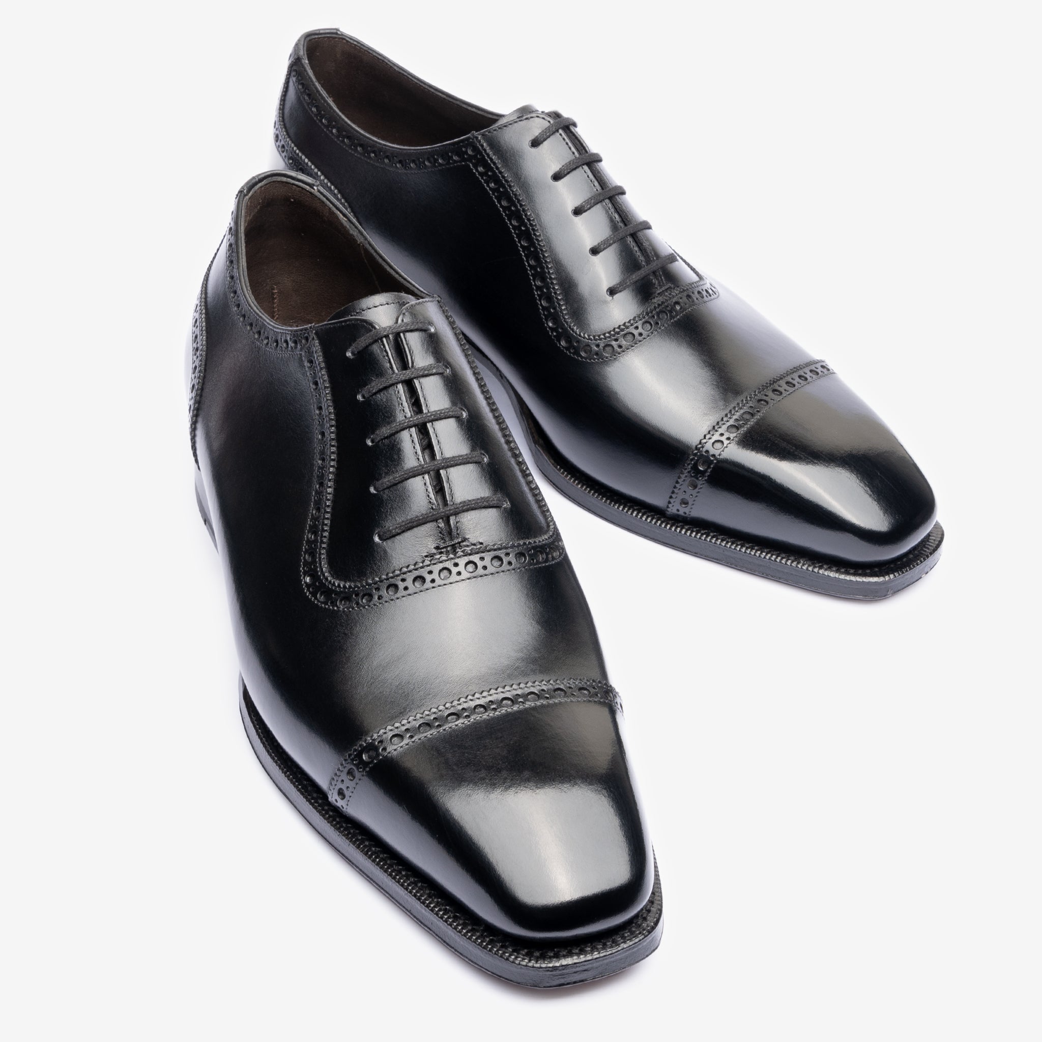 Adelaide Oxford |  Black - Deus Last - Founders 25