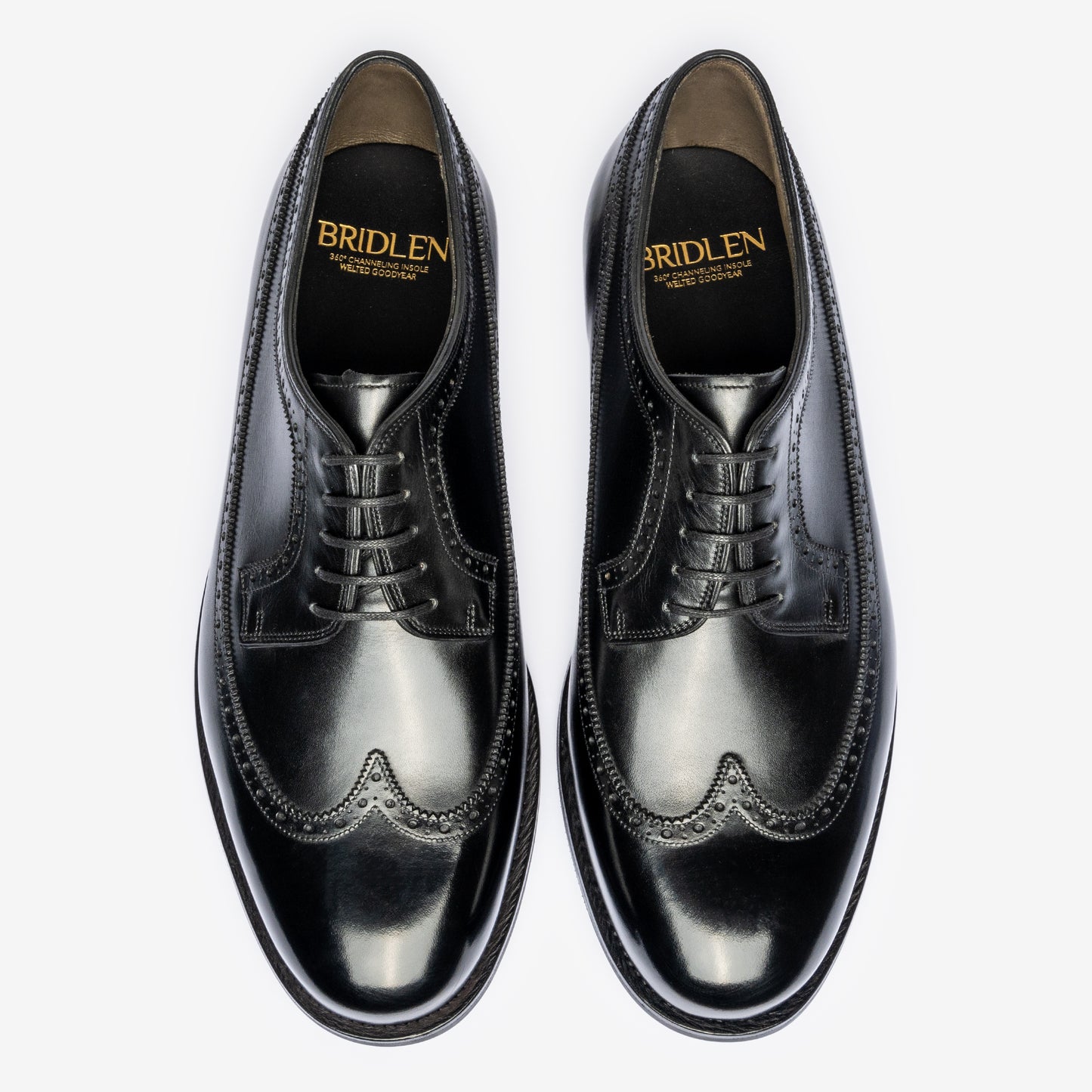 Longwing Derby - Black - Mod Last