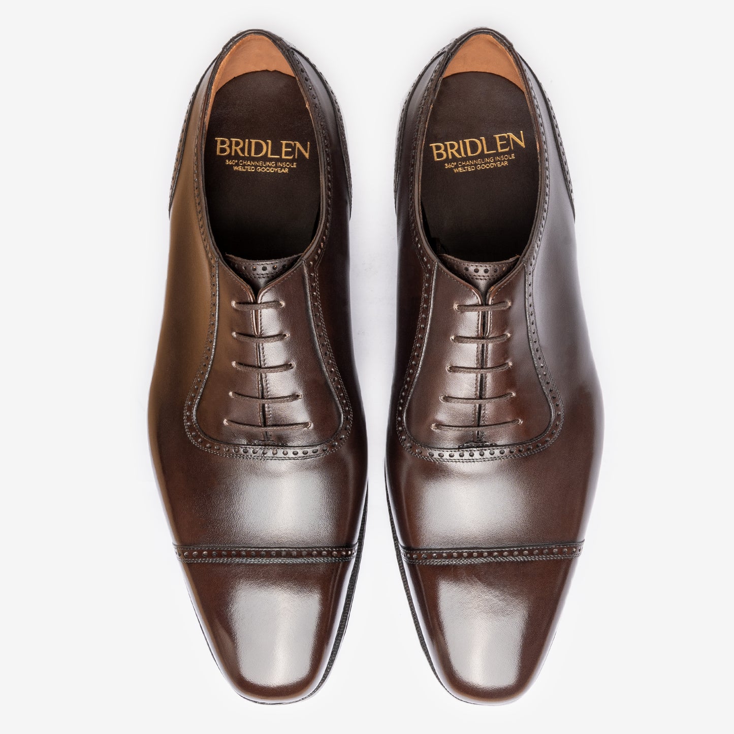 Austere Adelaide - Bitter Choco - Deus Last