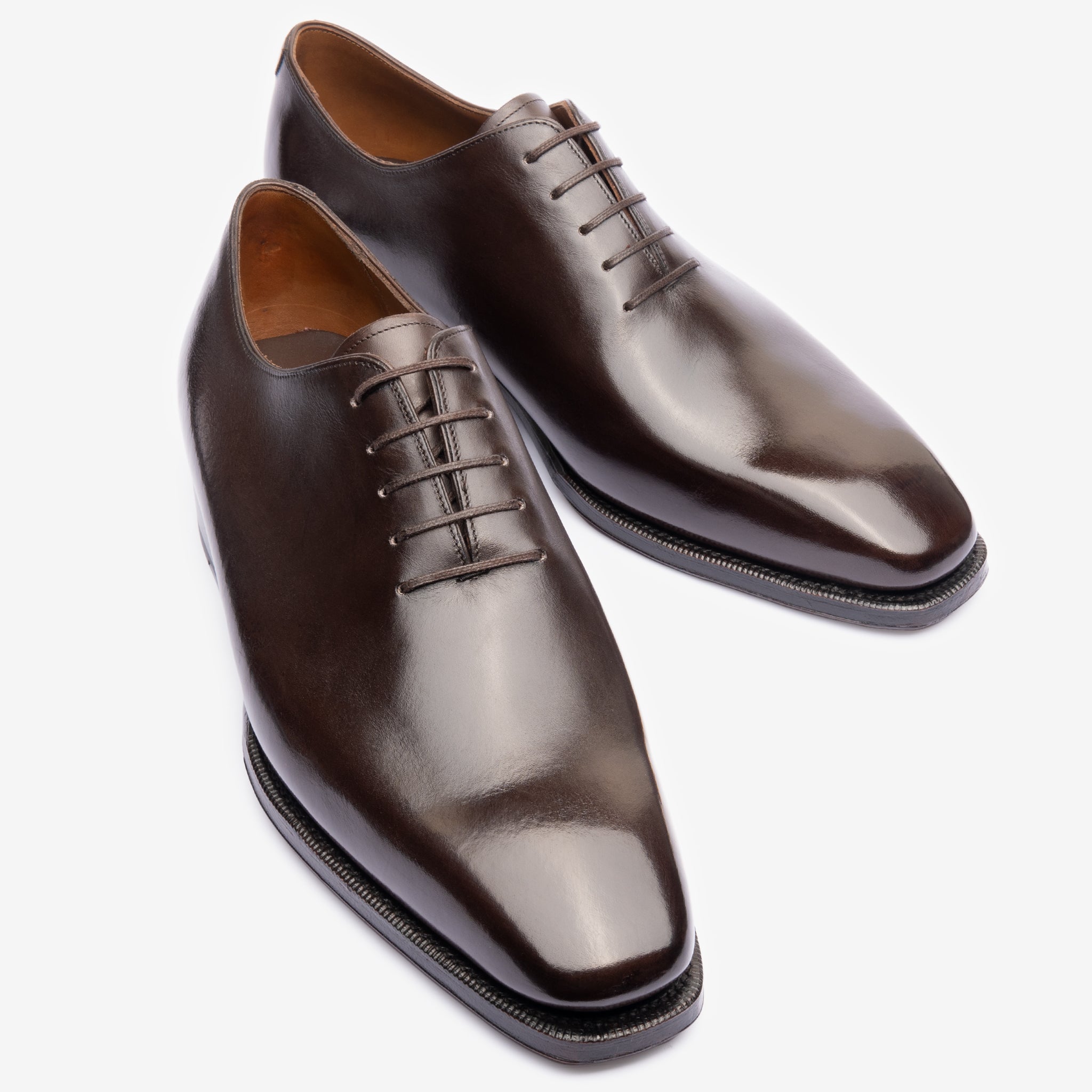 Wholecut Oxford |  Bitter Choco - Deus Last - Founders 25