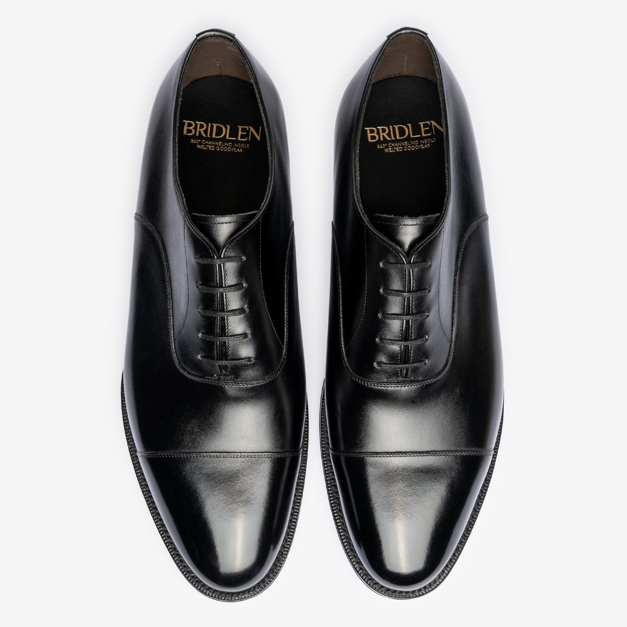 Straight Tip Oxford |  Black - Zip Last - Founders 25