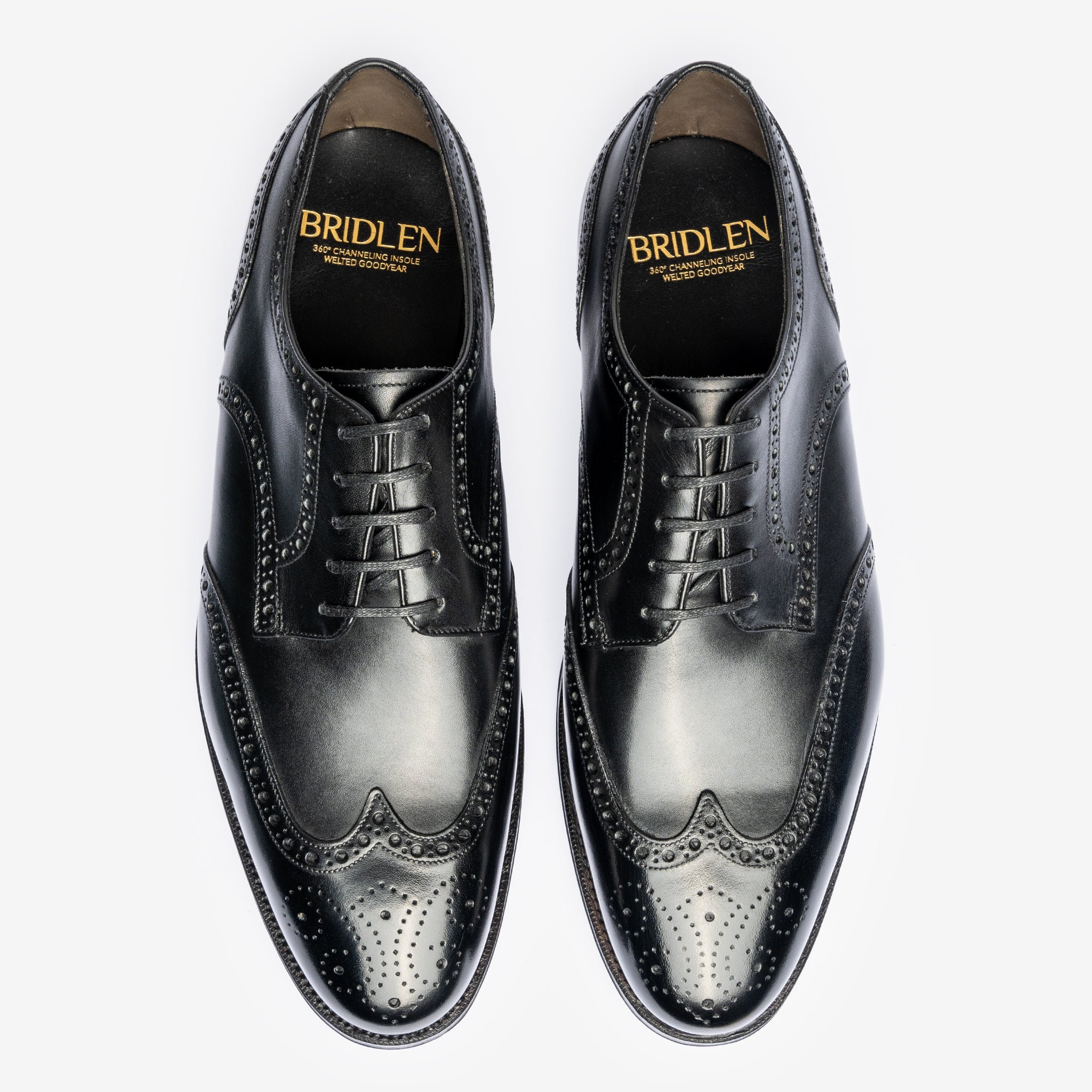 Wingtip Derby |  Black - Zip Last