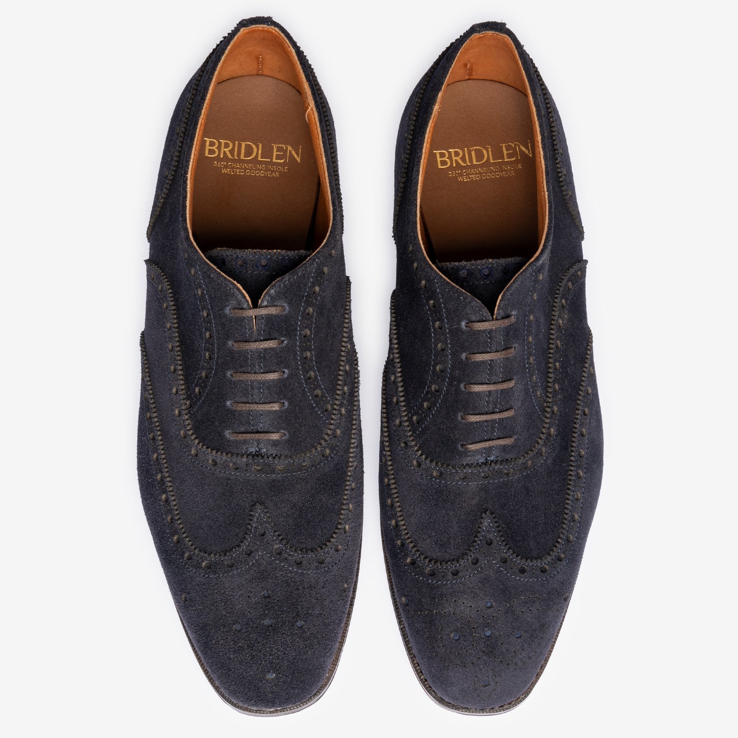 Wingtip Oxford - Ink Blue - Char Last