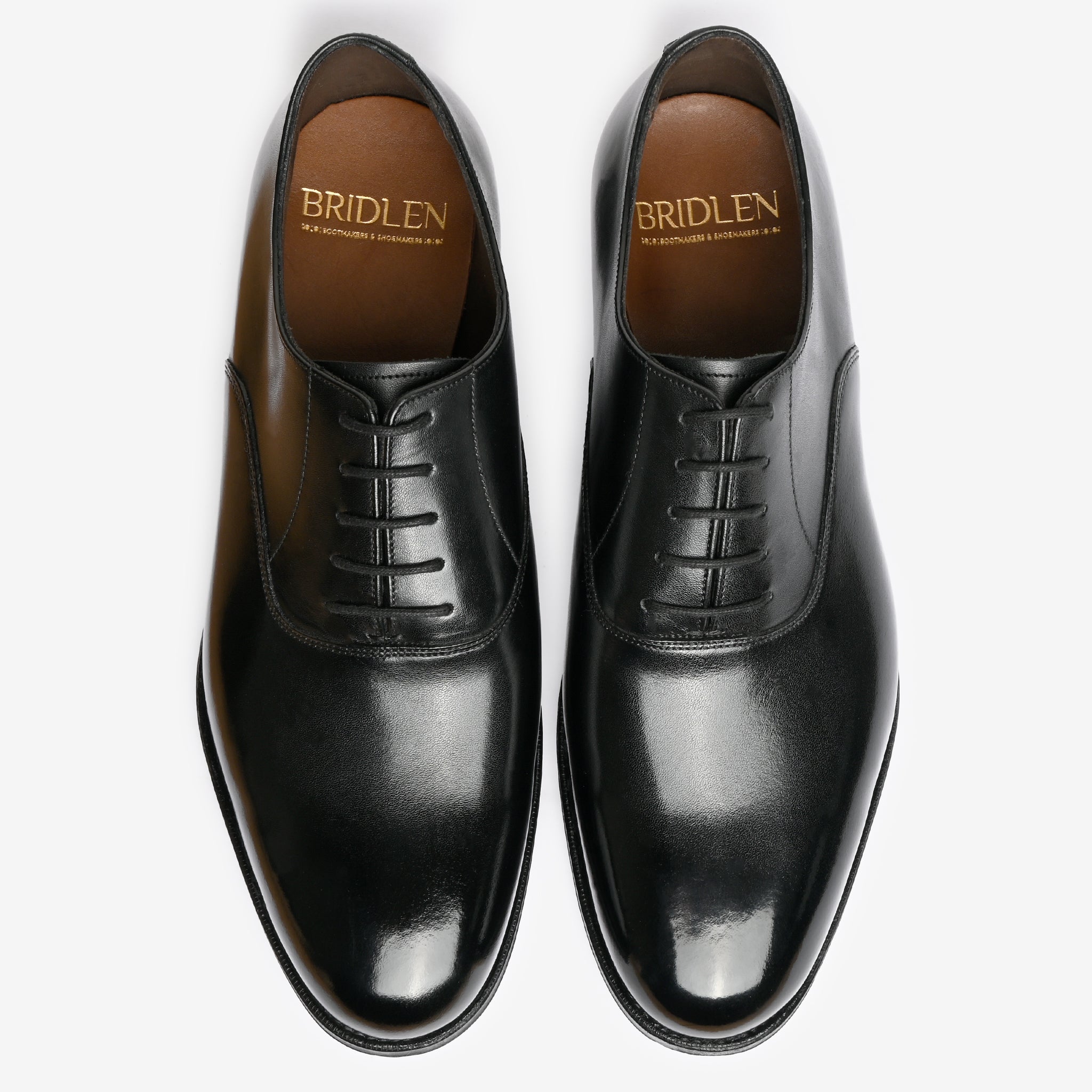 Plain Oxford - Black - Blake Line – Bridlen