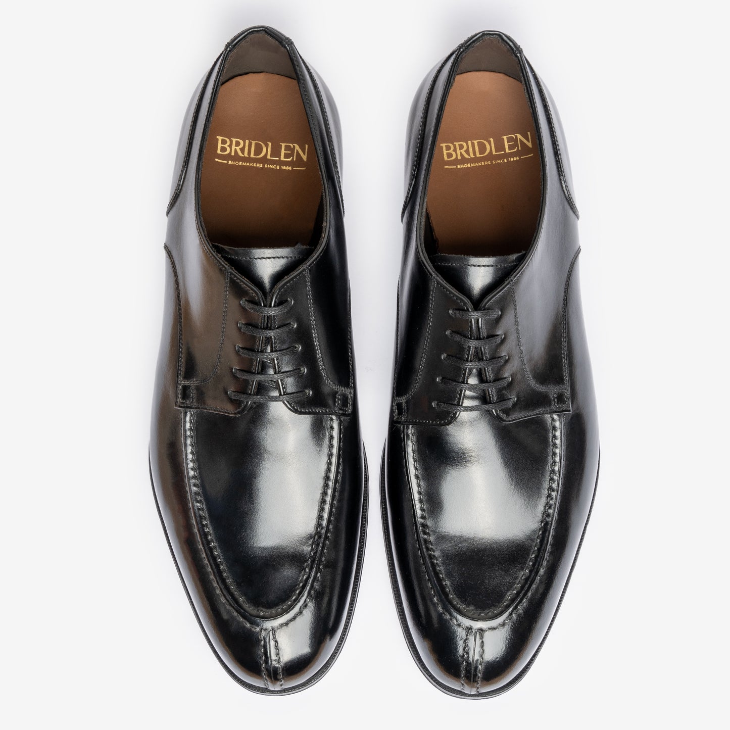 Y-Tip Derby - Black - Blake Line