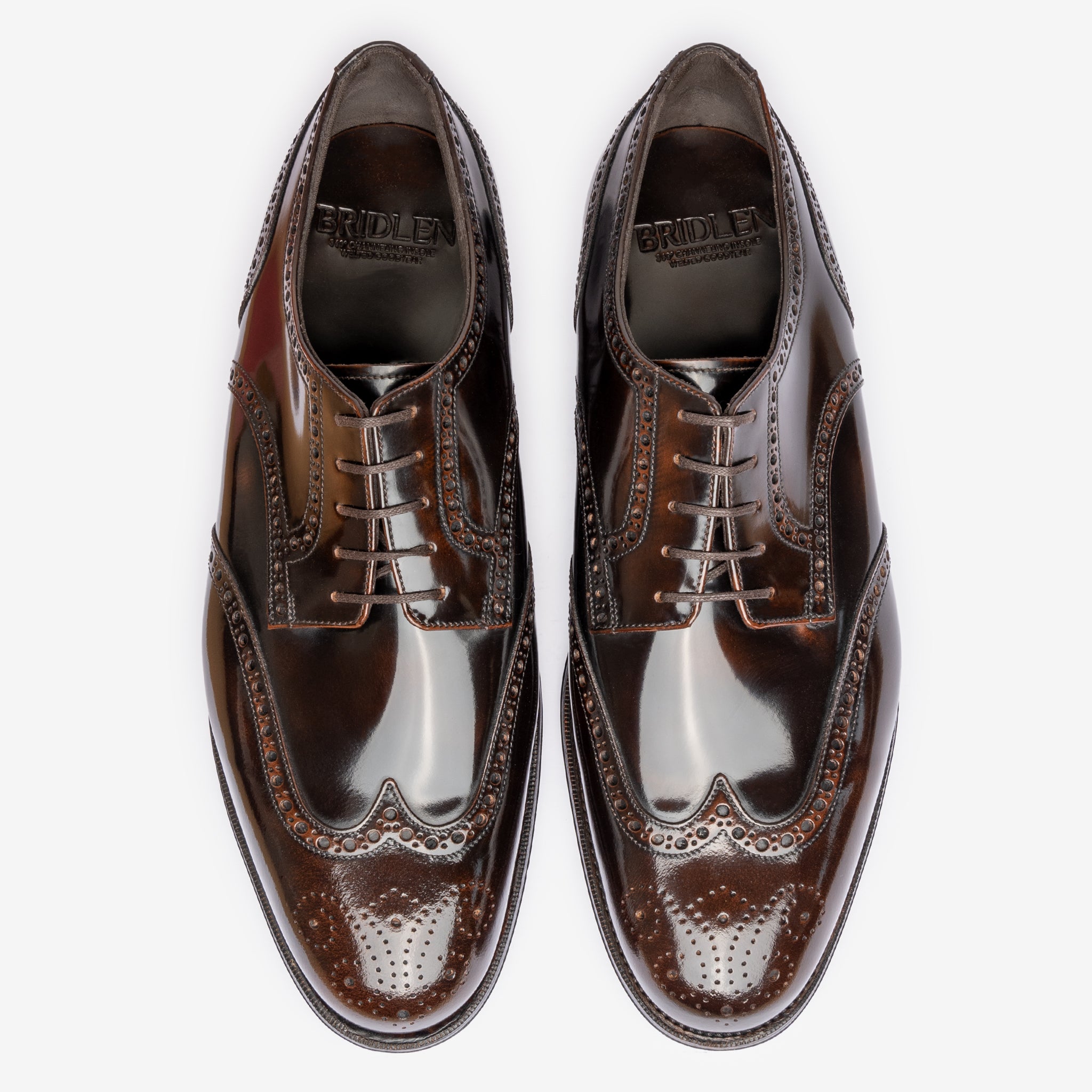 Wingtip Derby |  Brown Brush Off - Rui Last