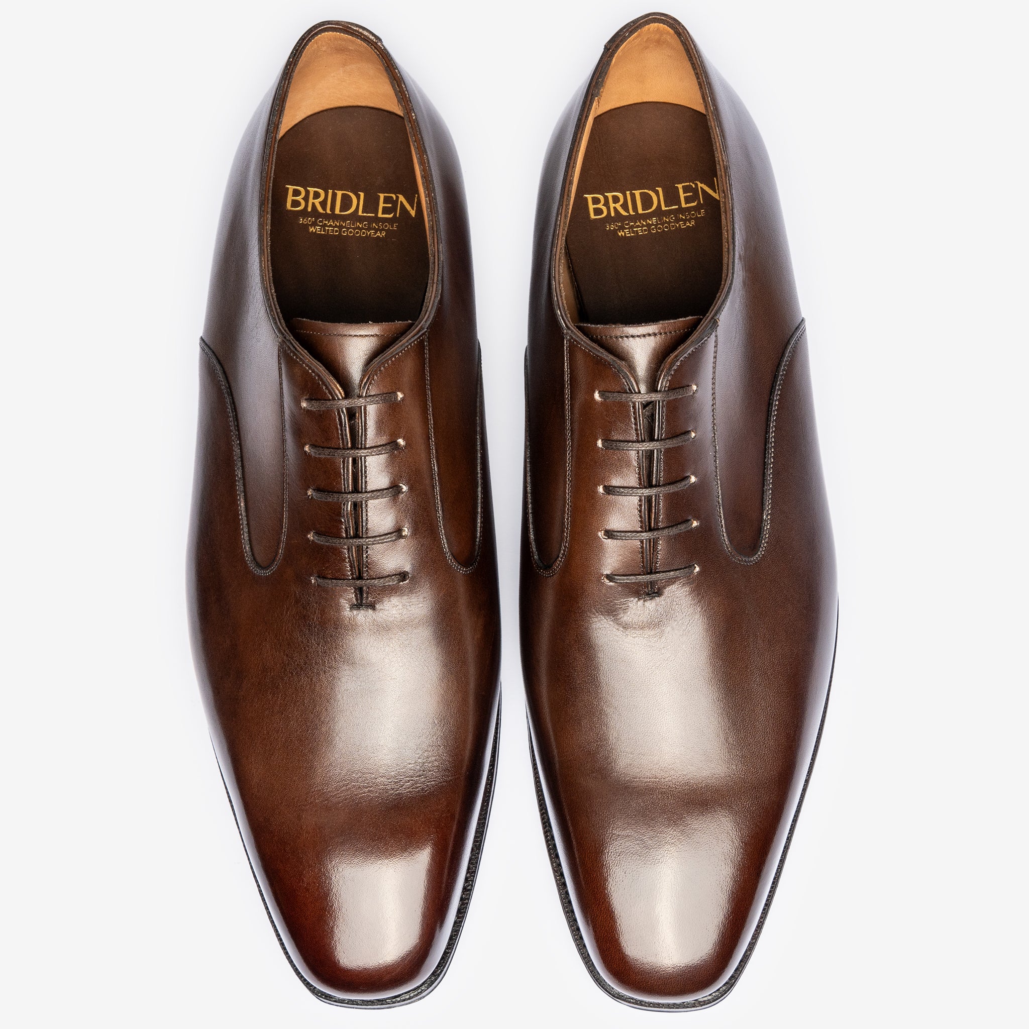 Swan Neck Oxford |  Bitter Choco - Deus Last
