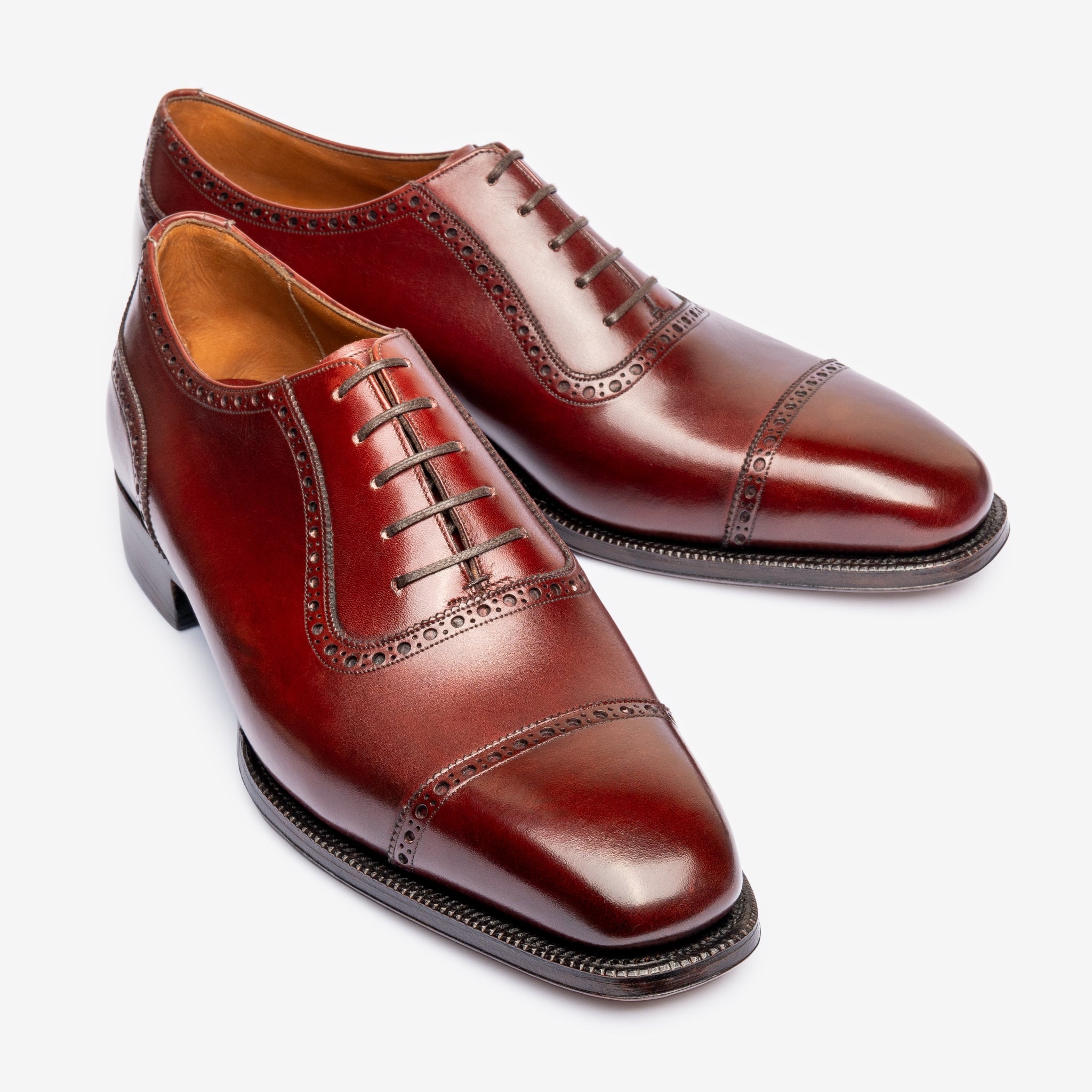 Adelaide Oxford |  Burgundy - Deus Last - Founders 25