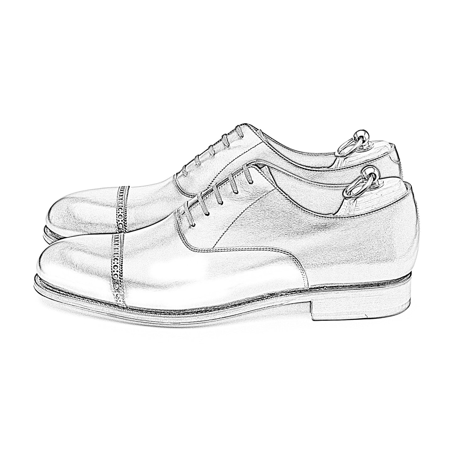 Punch Cap Oxford - Brown - Rui Last