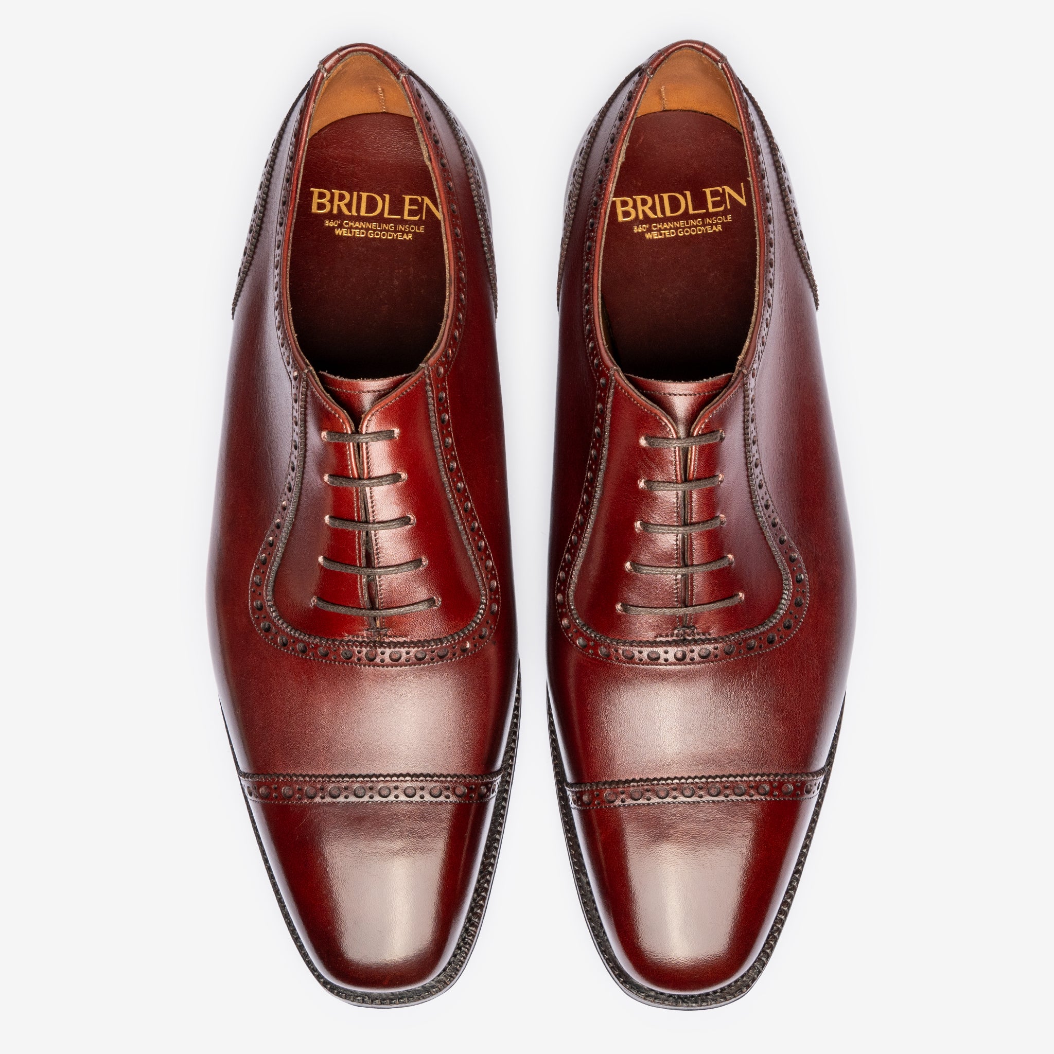 Adelaide Oxford |  Burgundy - Deus Last - Founders 25