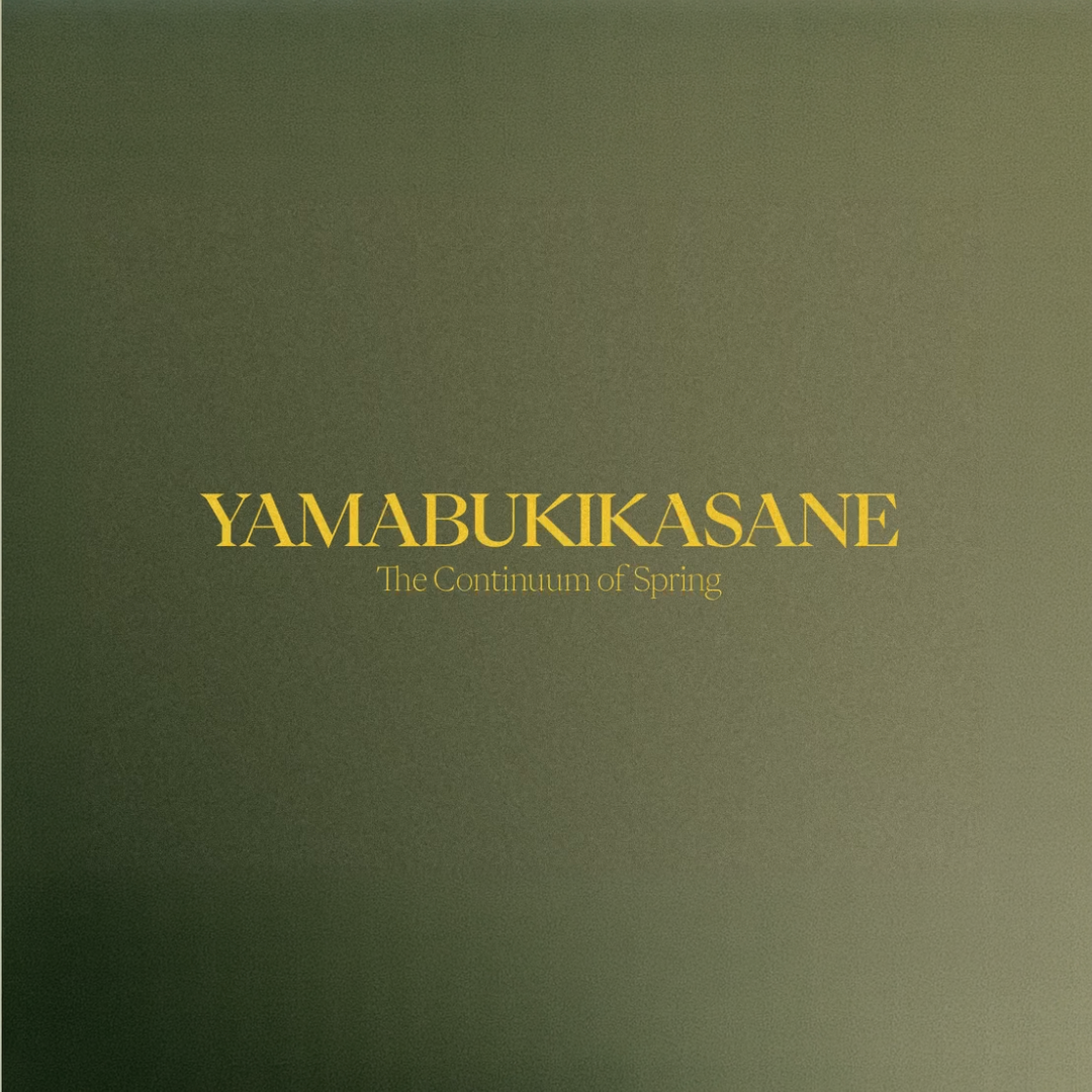 La Patine | Yamabukikasane