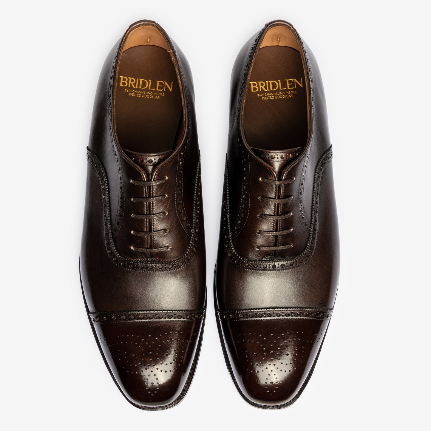 Semi Brogue Oxford - Bitter Choco - Char Last