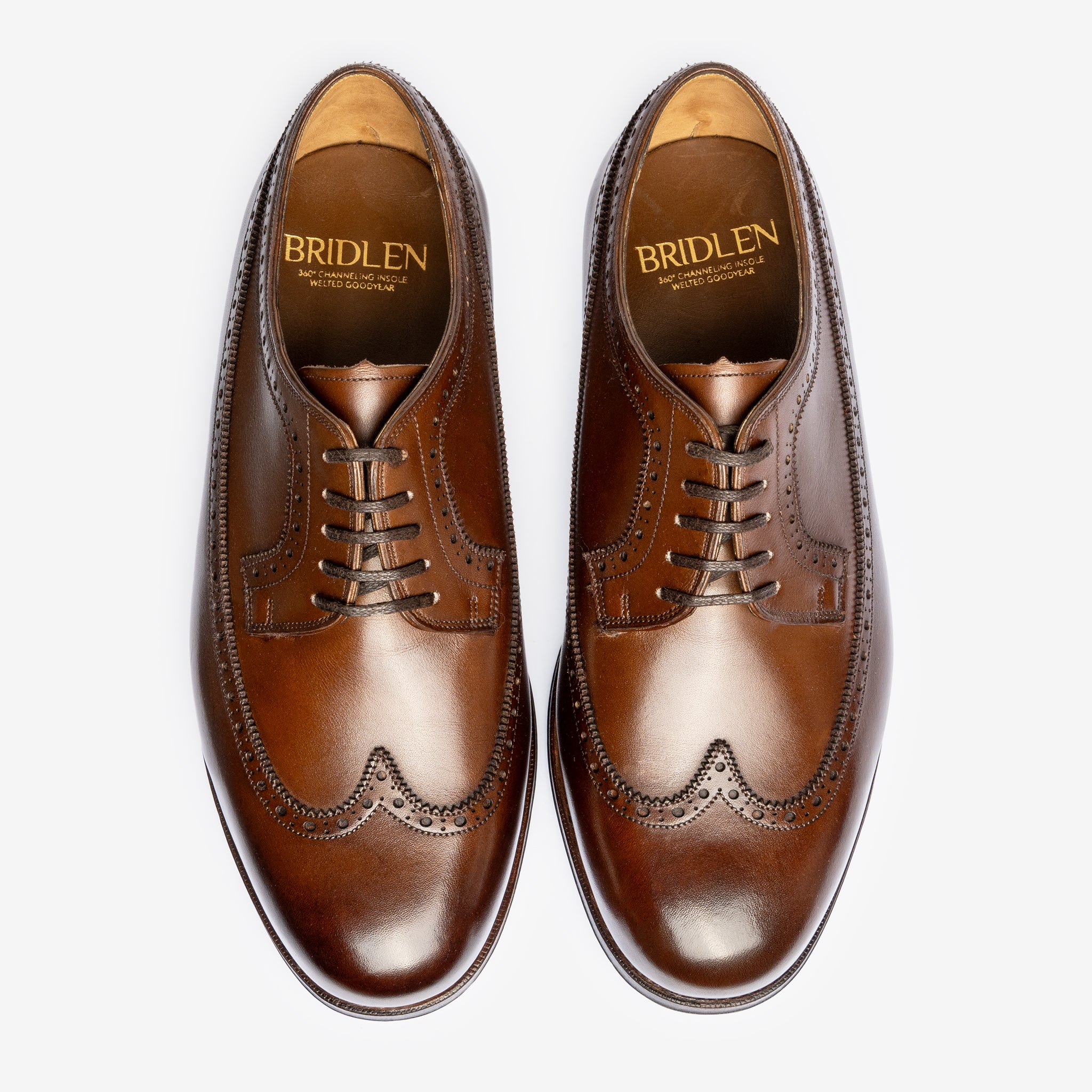 Longwing Derby |  Brown - Mod Last