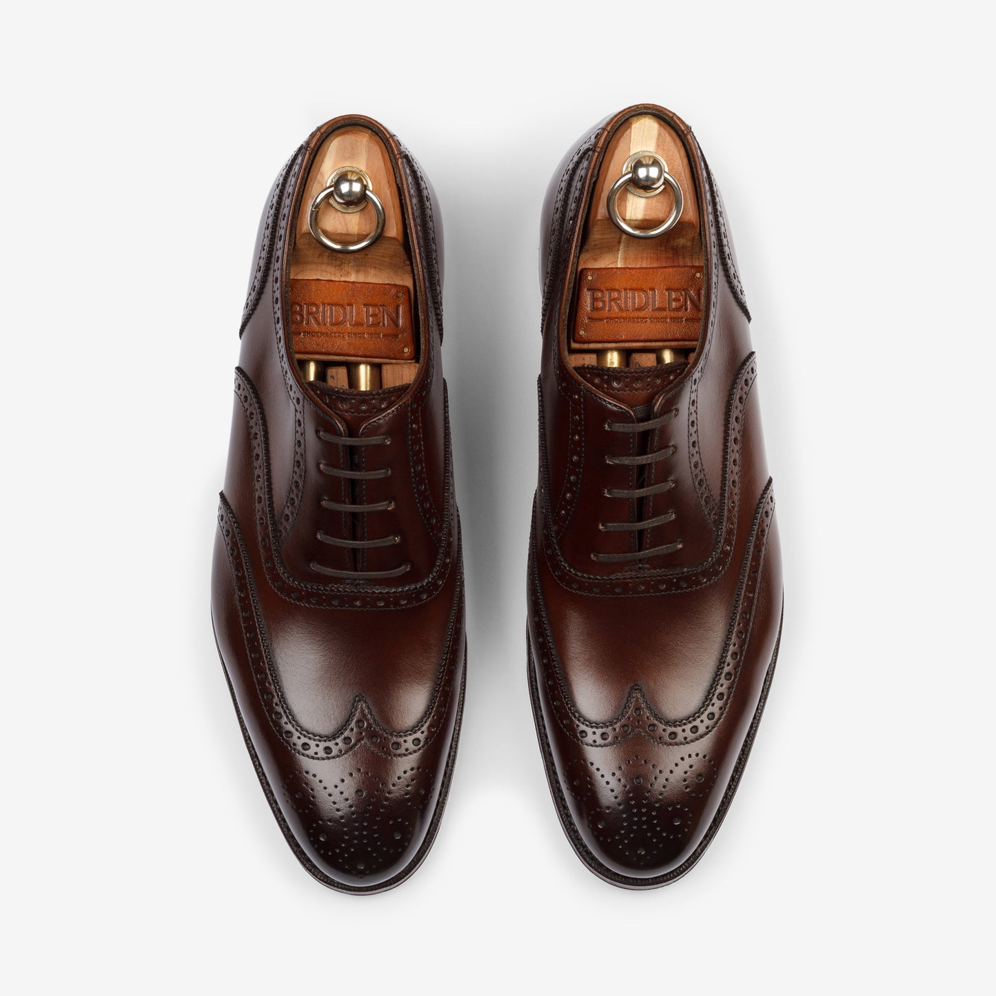 Wingtip Oxford - Brown - Zip Last