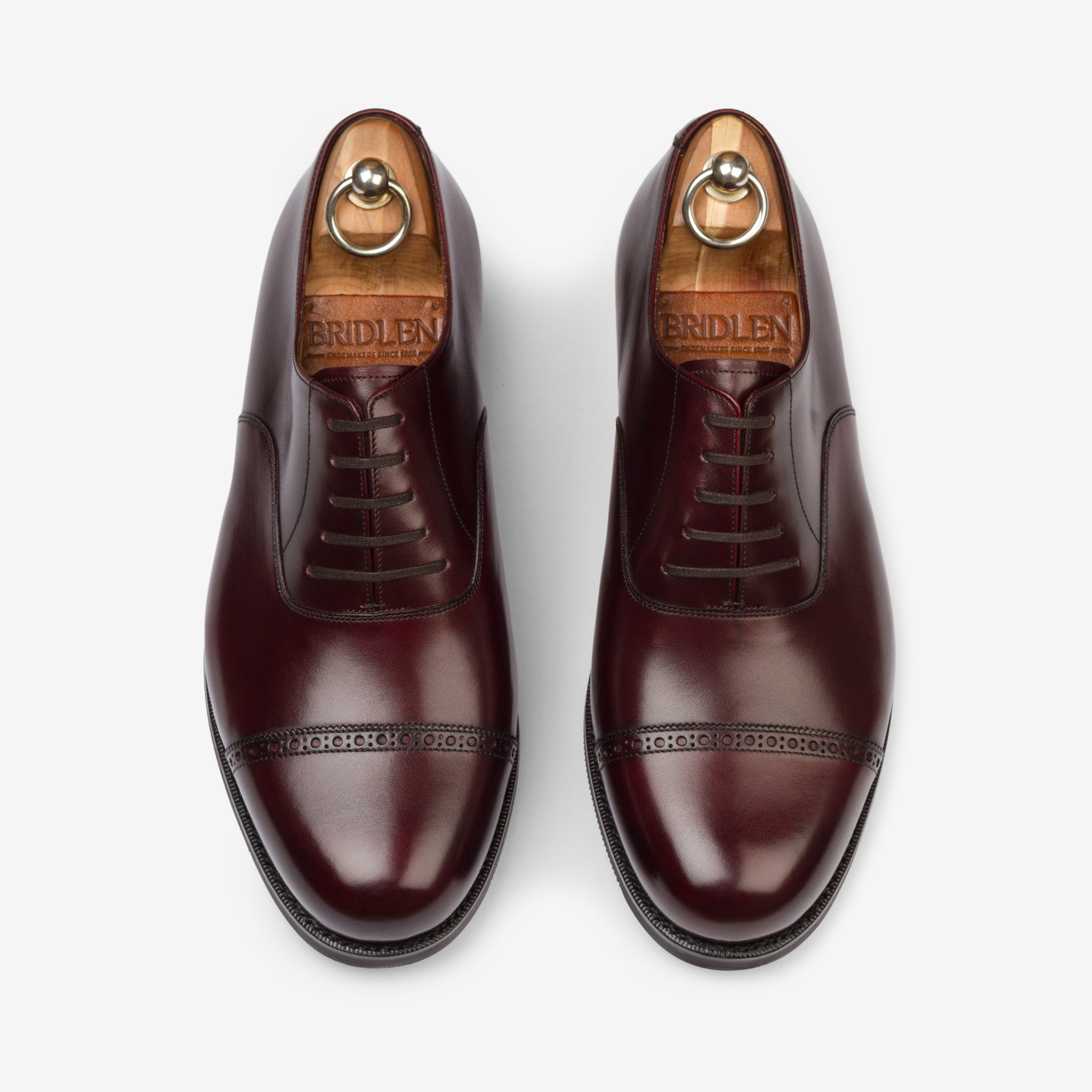 Punch Cap Oxford |  Burgundy - Mod Last