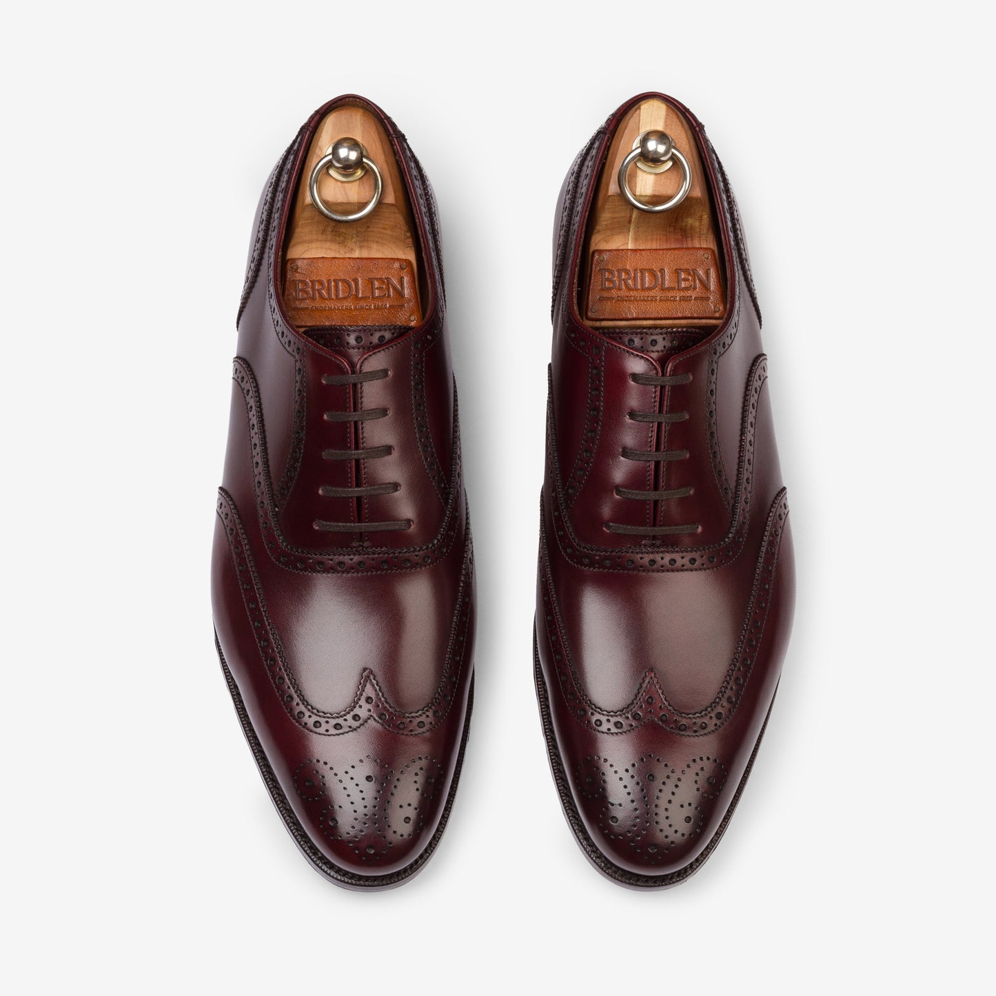 Wingtip Oxford - Burgundy - Zip Last