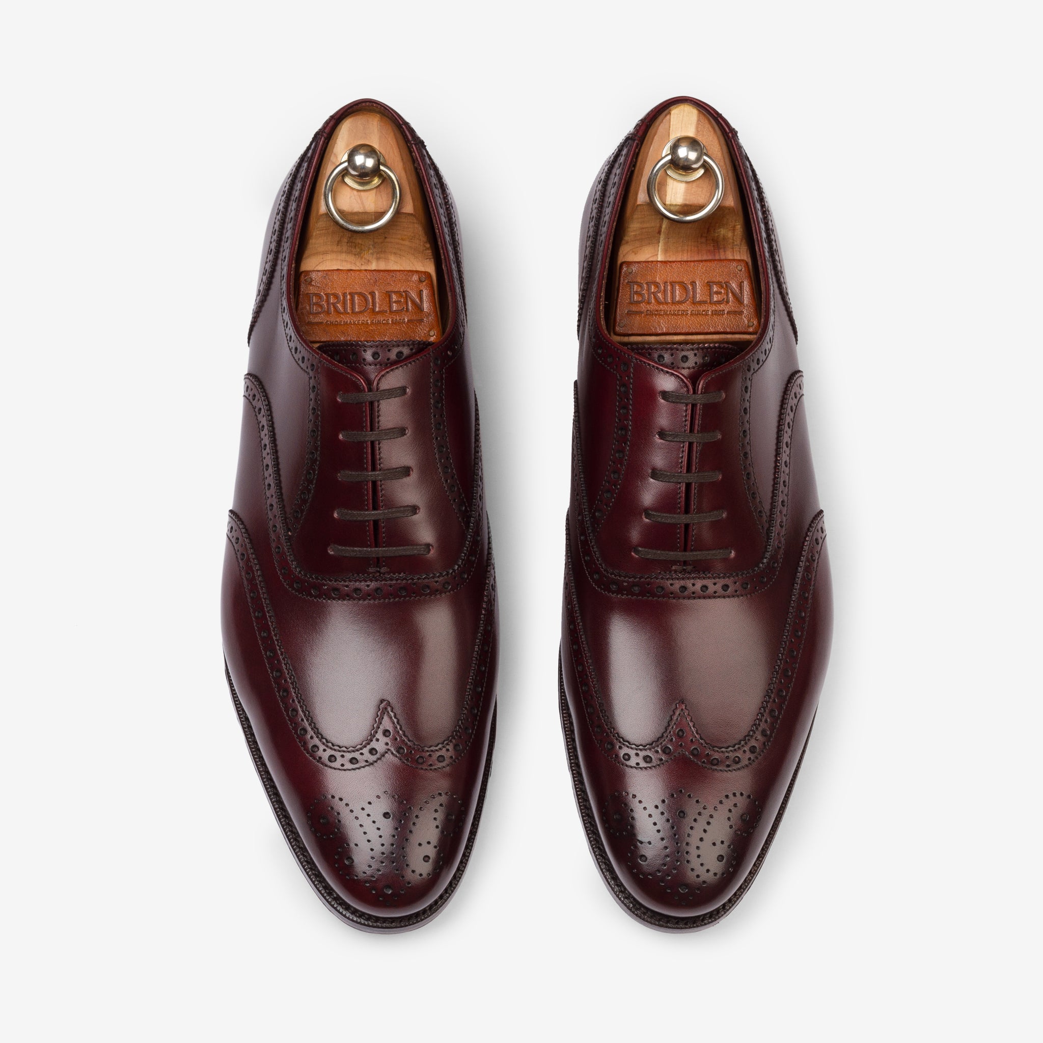 Wingtip Oxford |  Burgundy - Zip Last