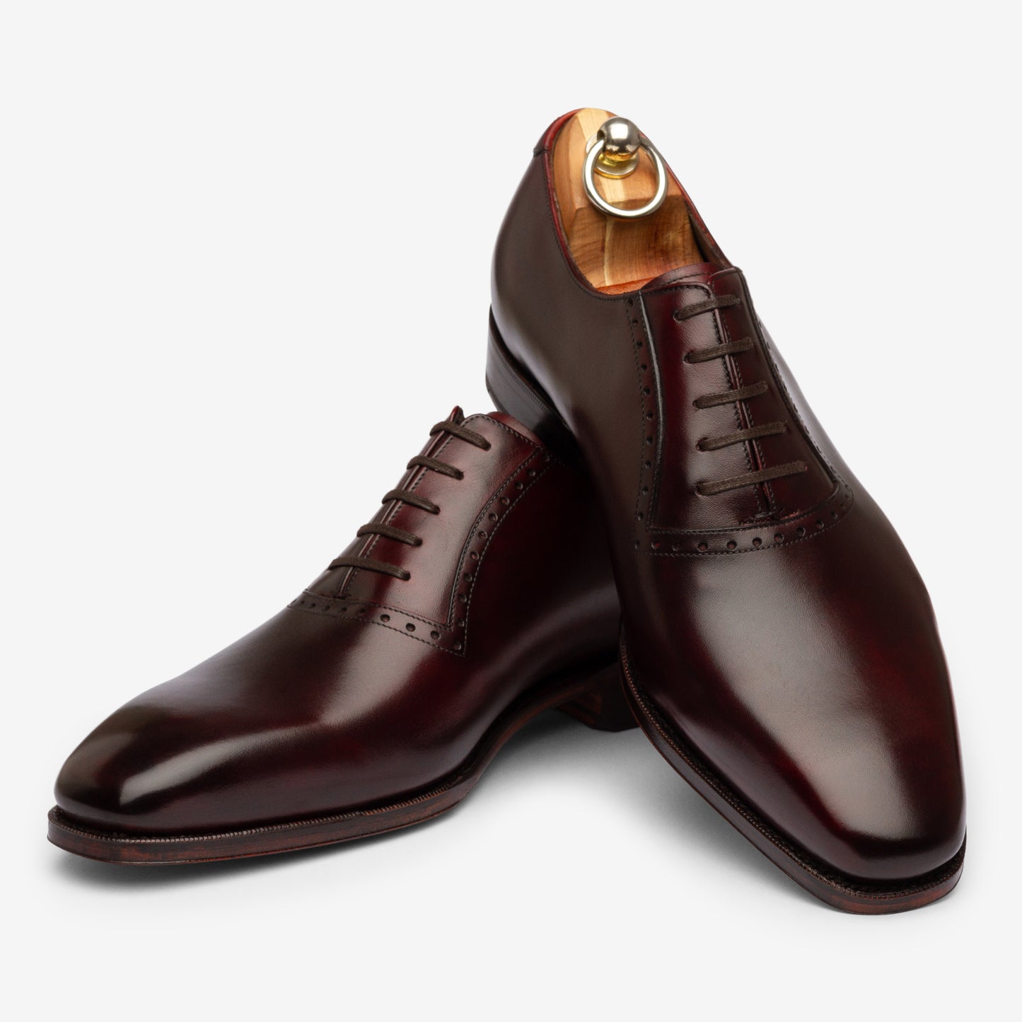 Melbourne - Burgundy - Deus Last - Founders 25