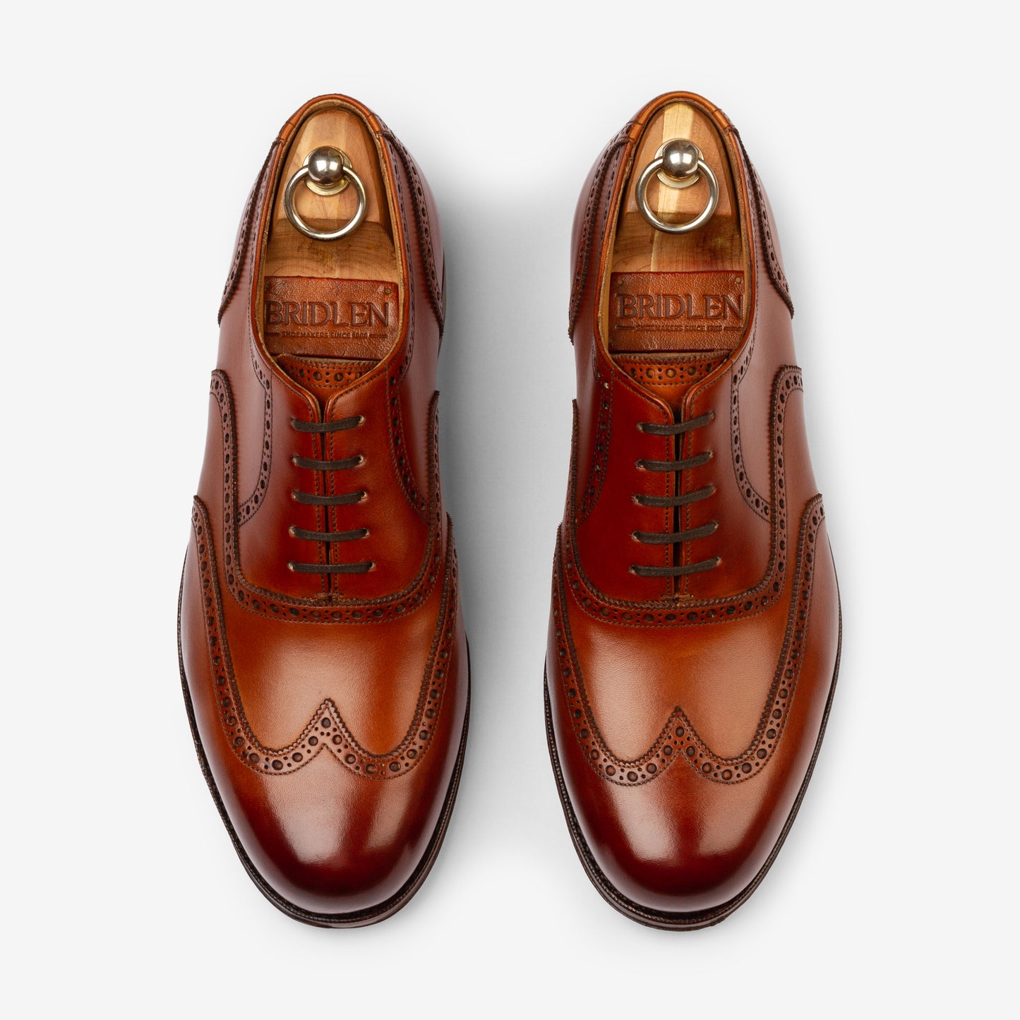 Wingtip Oxford - Tan - Mod Last
