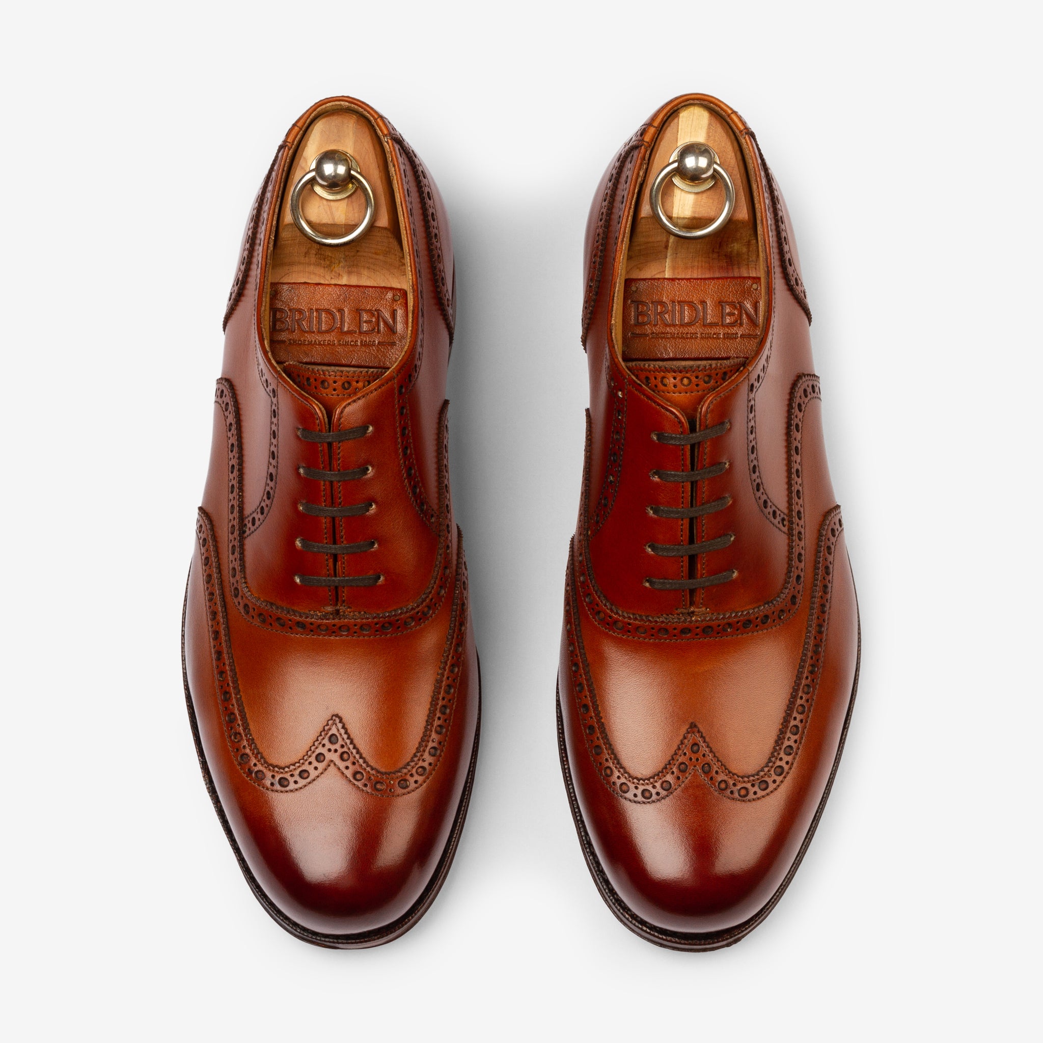 Wingtip Oxford |  Tan - Mod Last