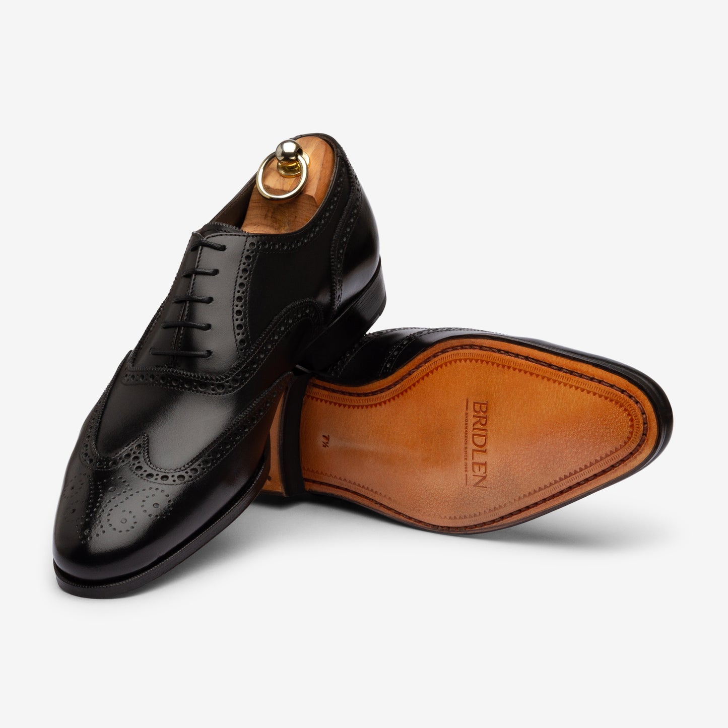 Wingtip Oxford - Black - Blake Line