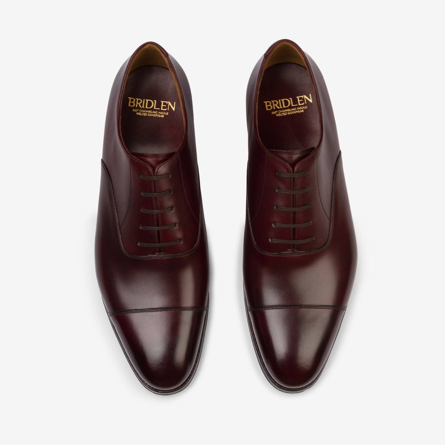 Straight Tip Oxford - Burgundy - Zip Last