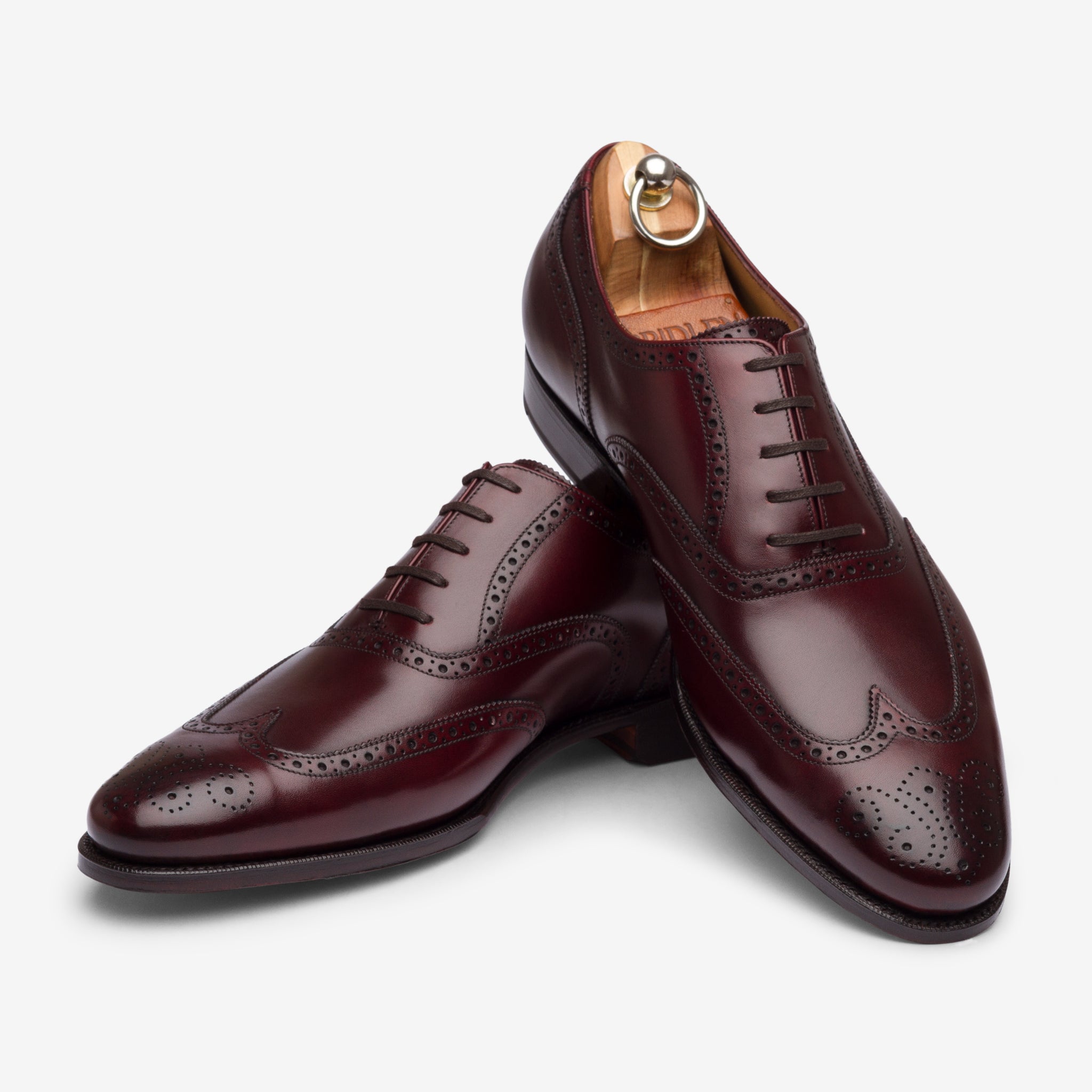 Wingtip Oxford |  Burgundy - Zip Last